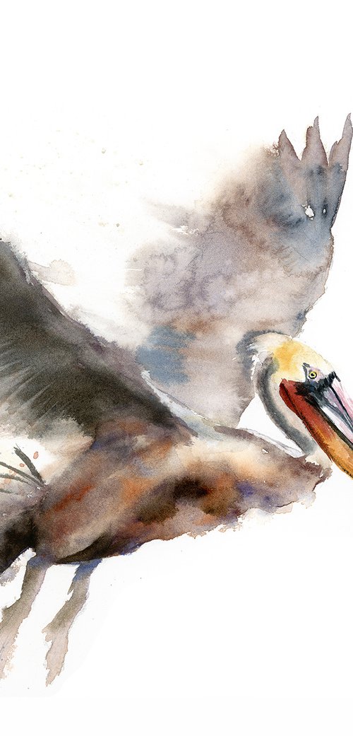 Flying Pelican  -  Original Watercolor Painting by Olga Tchefranov (Shefranov)