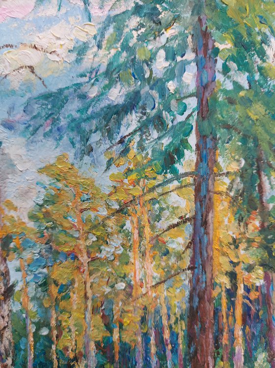 Sunset in the Pine Forest