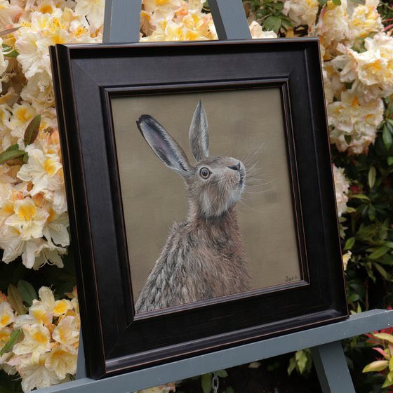 Portrait of a Hare III