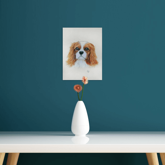 Gentle Cavalier King Charles Spaniel Portrait