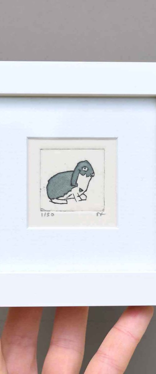 Mini framed pet rabbit by Sally Fisher