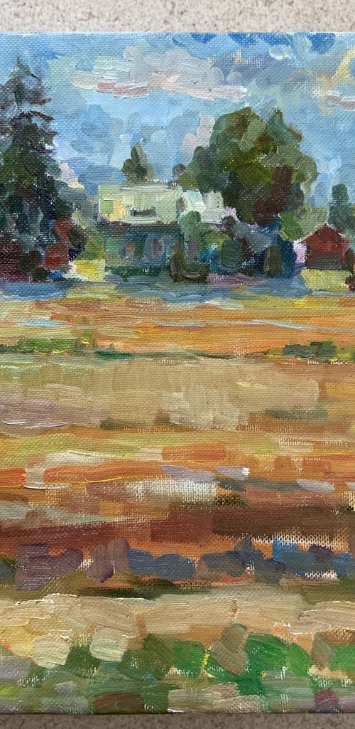 Sunny field by Tanja Smirnova