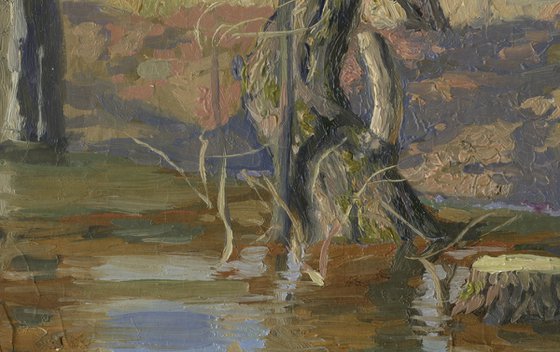 Spring flood