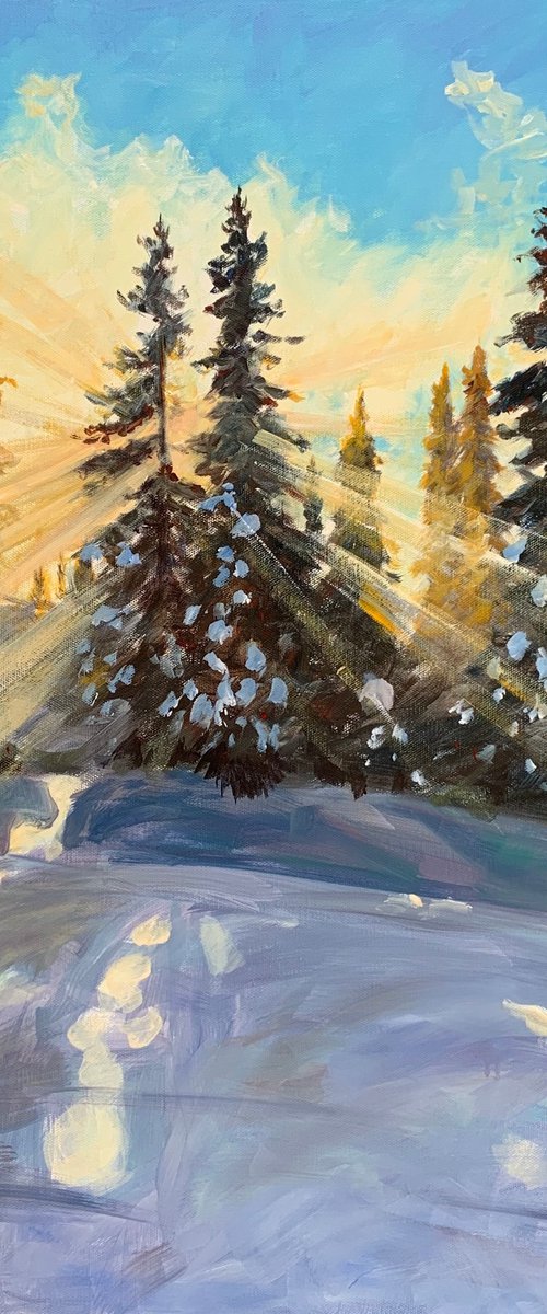 Sunshine on the ski slope by Shelly Du