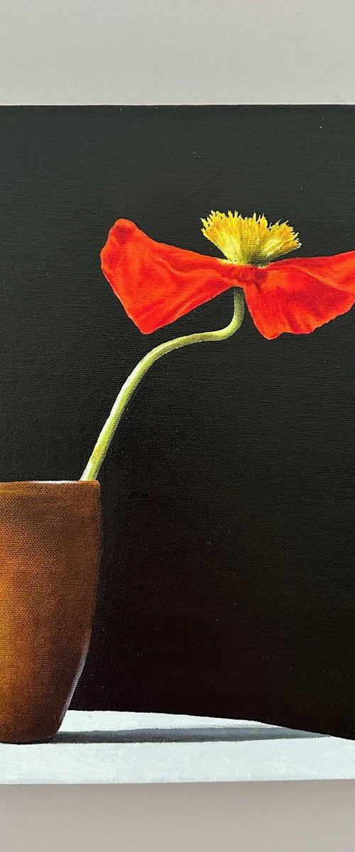 Ikebana: Poppy by Kaz  Jones