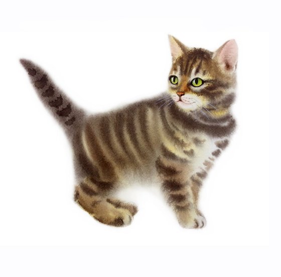 Fluffy Tabby Kitten #3 - Tabby Cat - Kitten Painting - Cute Kitty