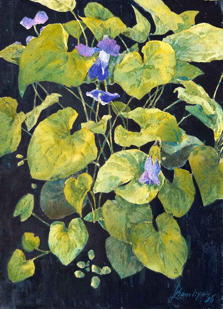 Impressionistic Watercolour , Violets On Black By Leyla Kamliya, 9 X 13, Artwork For Sale On Artfinder