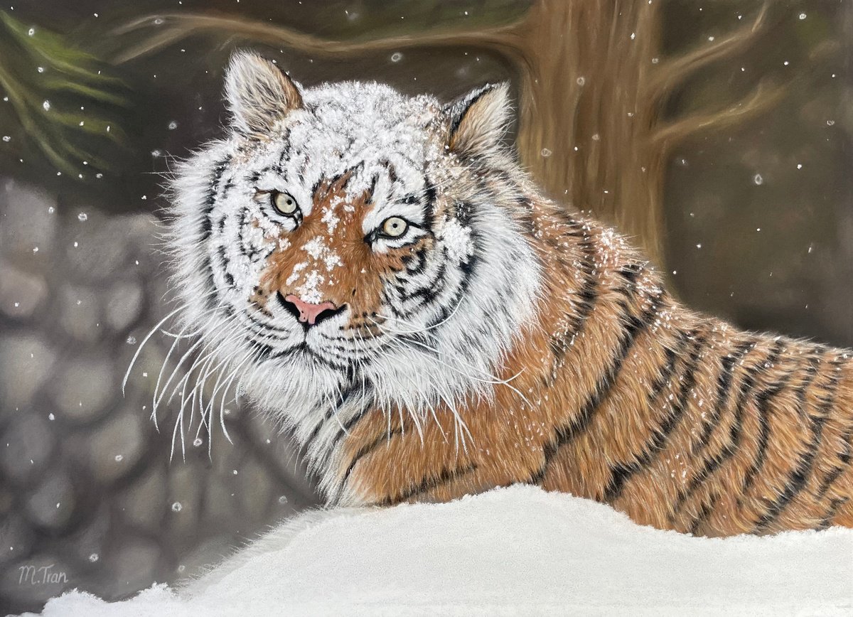 Photorealistic Animal Pastel Drawing By Maria Tran, 16 X 12", Snowed In, Original Artwork