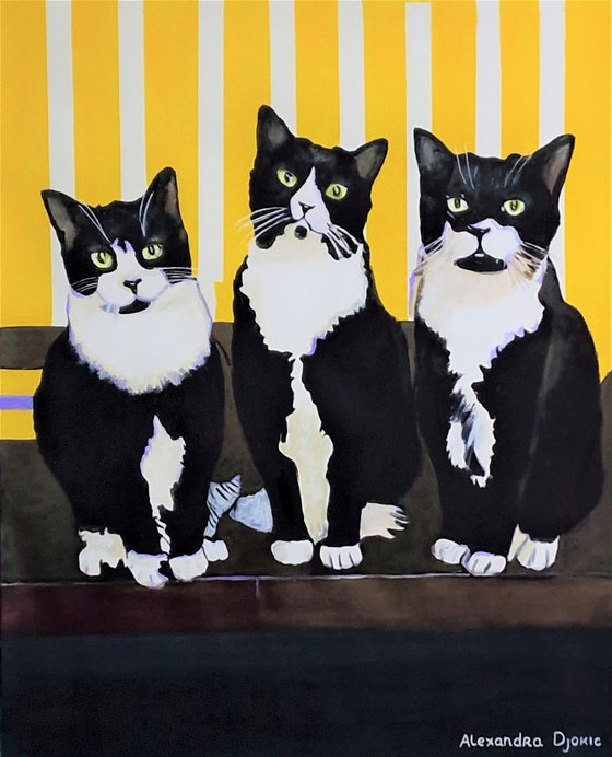 Three cats / 84 x 70 cm