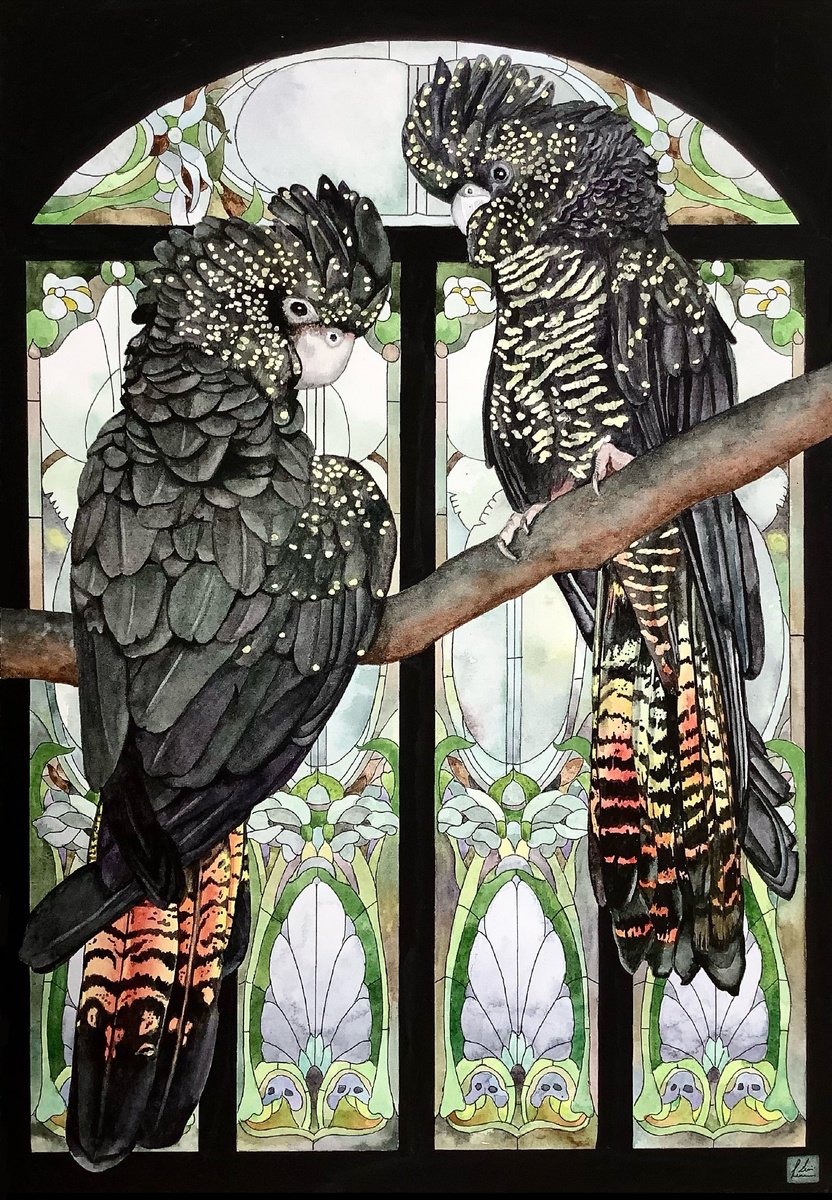 Animal Watercolour By Lisa Lennon, 11 X 17", Red Tailed Black Cockatoos, Original Artwork