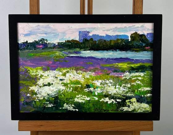 Meadows of Growing Flowers