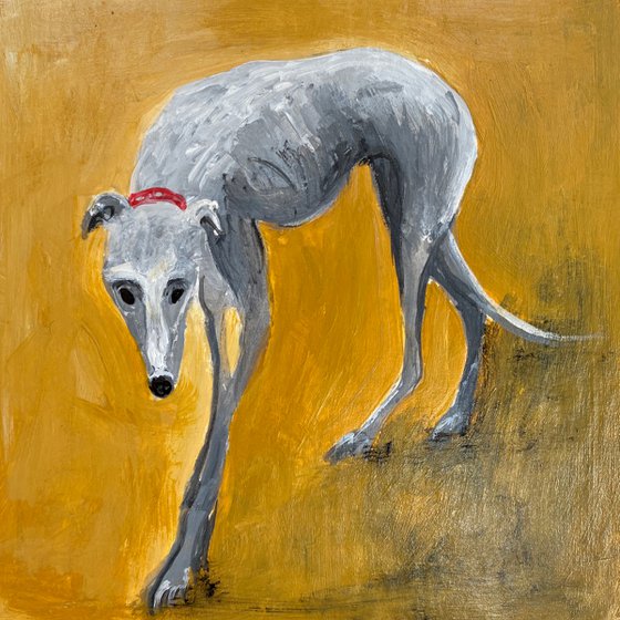 Grey Greyhound on Ochre