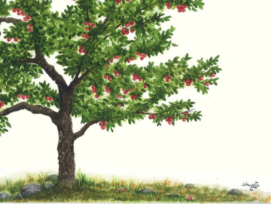 Apple Tree