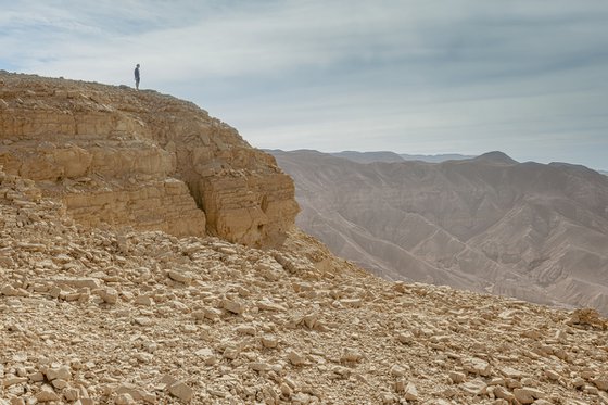 Only the desert