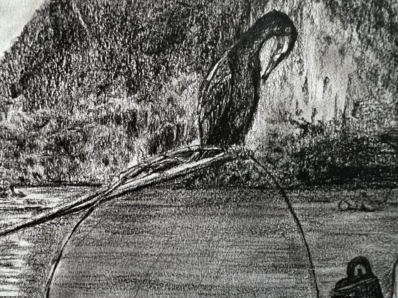 old man with his cormorant