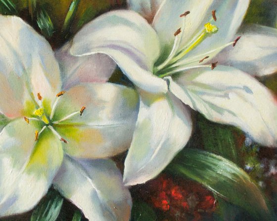 Lilies