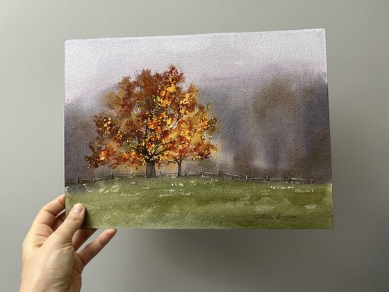 Autumn tree