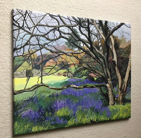 Bluebells At Rowallane