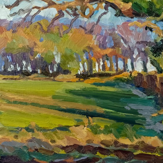 Shadow of the Oak