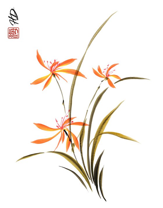 Dancing Daylilies