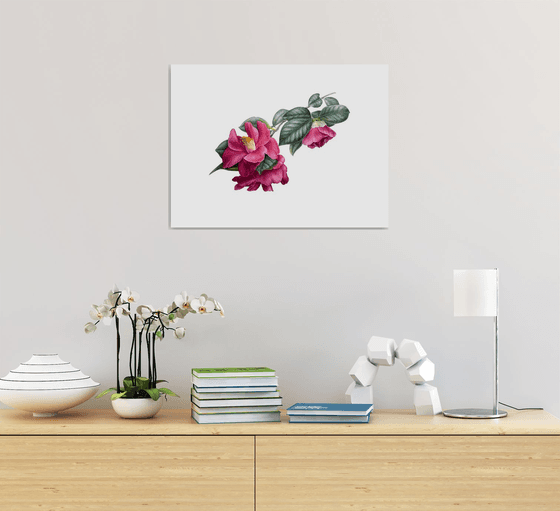 Camellia Painting