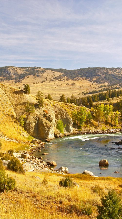 Yellowstone River, Wyoming by Alex Cassels