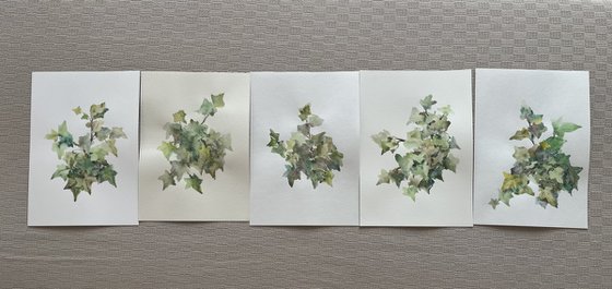 Garden ivy. Original watercolour painting. 2020