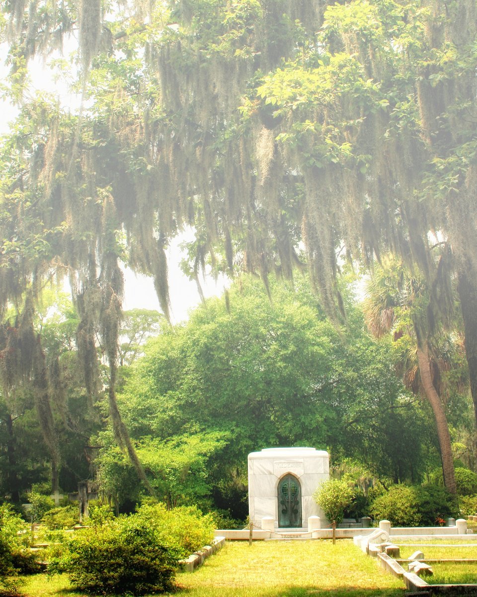Impressionistic Landscape Photograph By William Dey, 18 X 22", Into The Cemetery Savannah Ga, Original Artwork