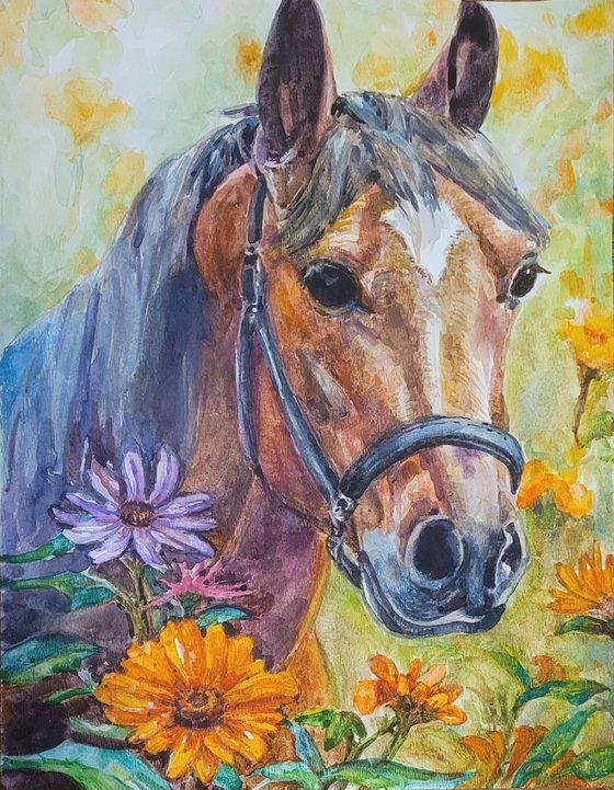 Summer horse