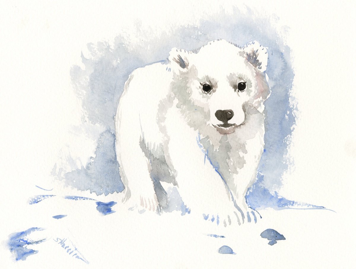polar bear, baby beart by Suren Nersisyan