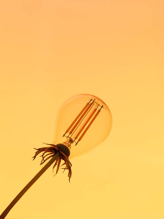 Artificial Sun
