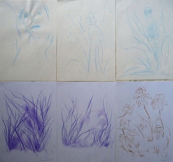 Six sketches - Plant Forms, 21x29 cm - affordable & AF exclusive !