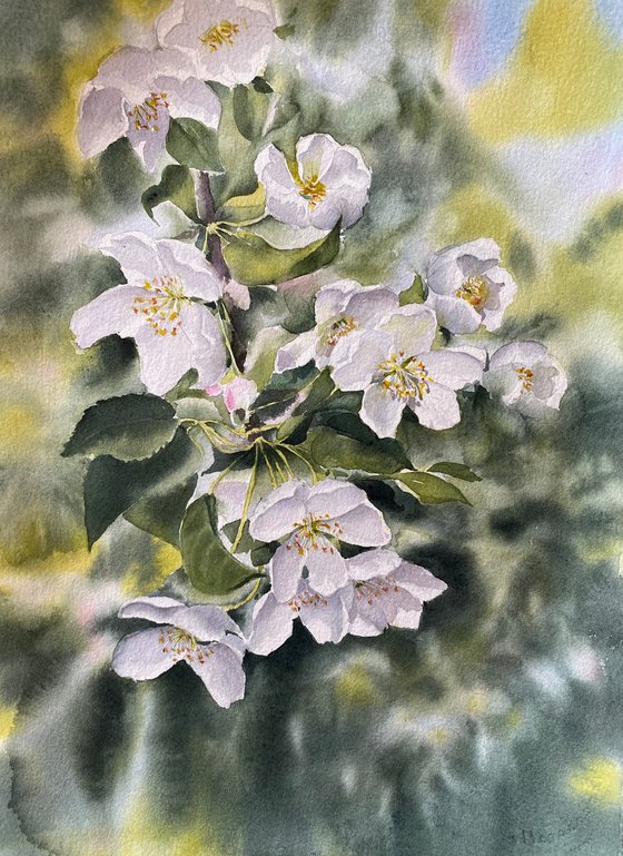 Apples blossom, original art