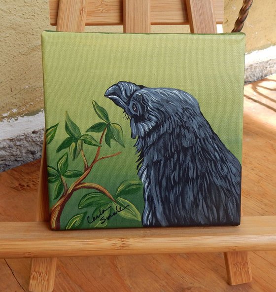 Raven Crow Bird and Arbutus Tree-Acrylic Gouache-6 x 6 Stretched Canvas-Carla Smale