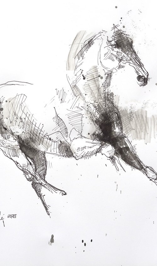 Equine Nude 31a by Benedicte Gele