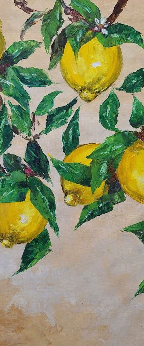 Lemons by Anastasia Antia