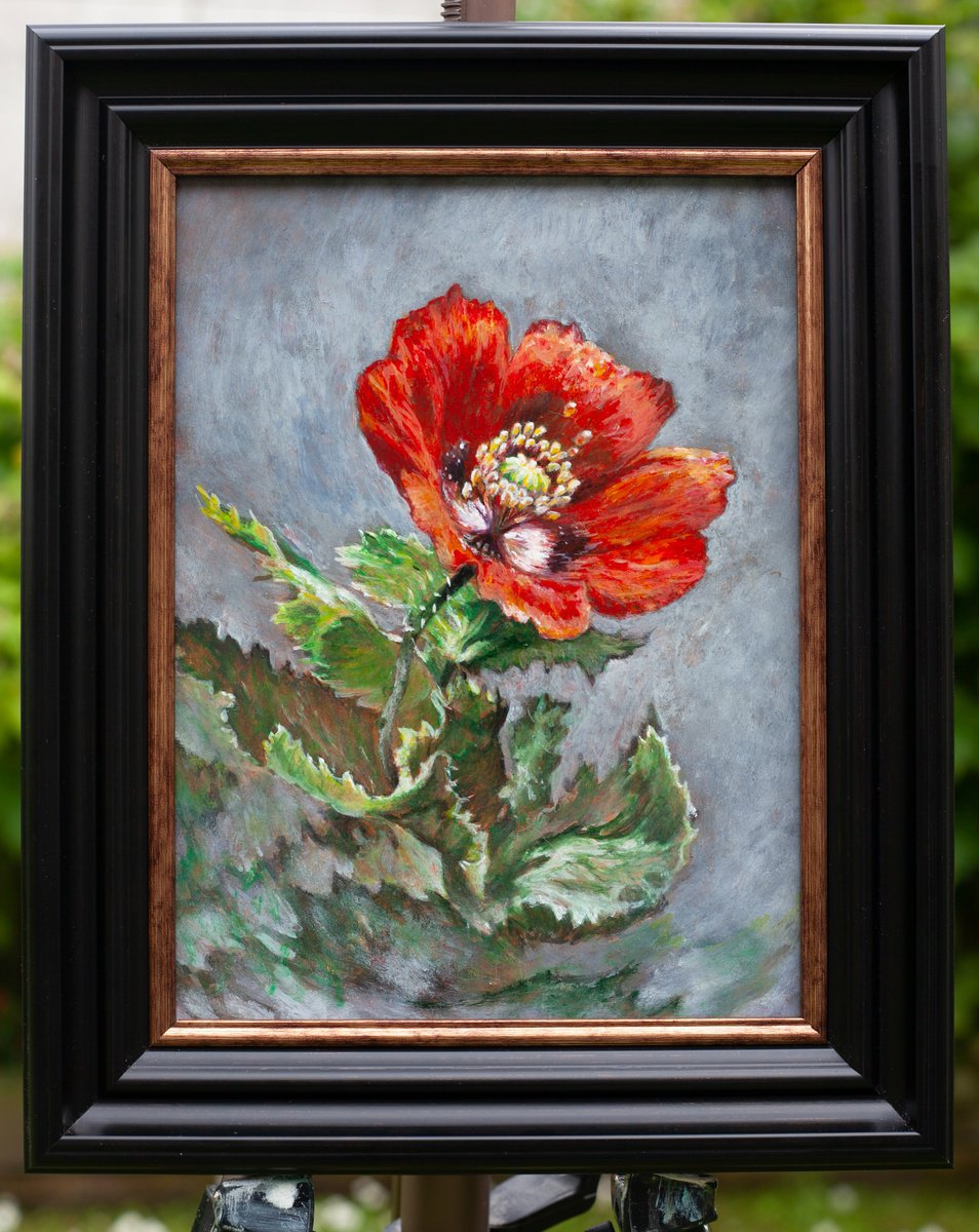 Photorealistic Botanical Painting By Liudmila Pisliakova, 10 X 12", Poppy, Original Artwork