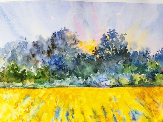 Landscape with sunflowers