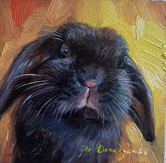 Custom rabbit portrait