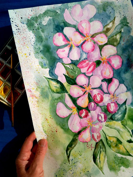 Apple Blossom original watercolr painting