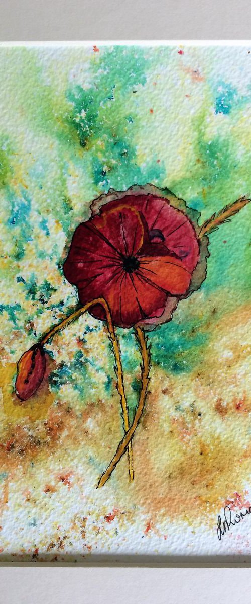 Poppy by Lorraine Newman