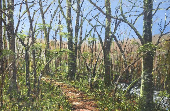 Early Spring, Dunsford Woods