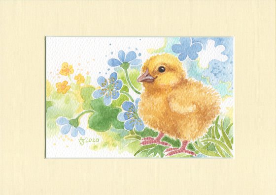 Spring is coming - Chicken