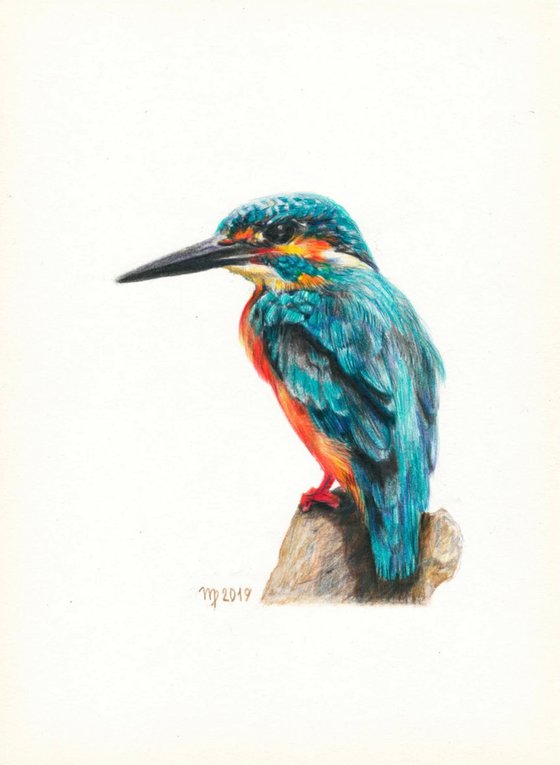 Kingfisher/Bird Series