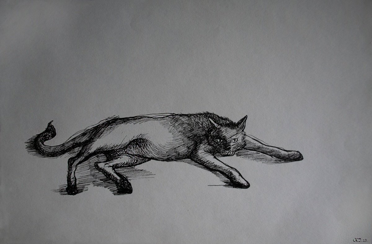 Illustrative Ink Drawing , Black Cat By Nikola Ivanovic, 12 X 8, Artwork For Sale On Artfinder