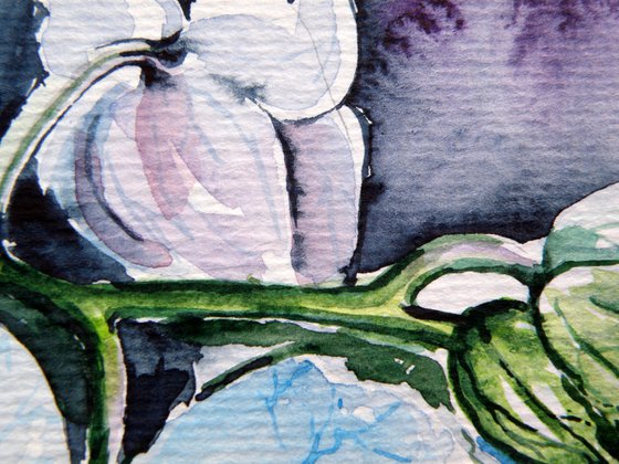 Orchid I
