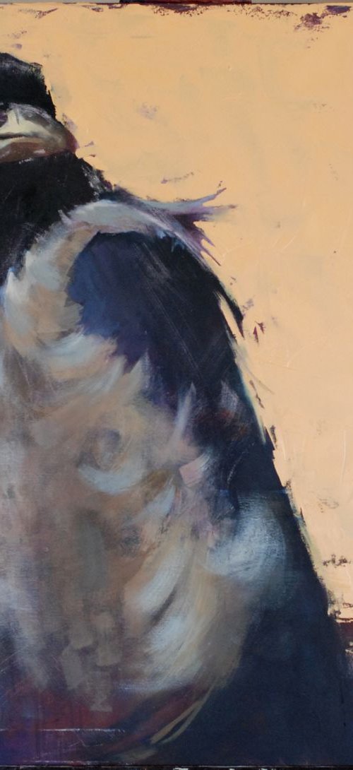The world of birds. Crow Louise. by Igor Shulman