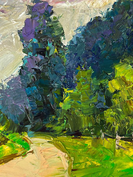 A Road along a Summer Forest