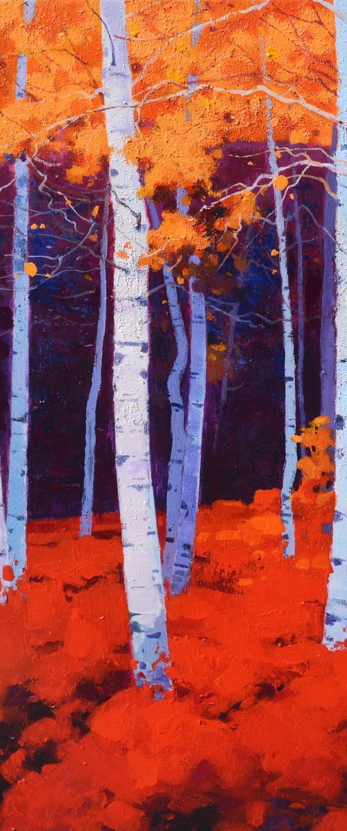 Birch trees forrest 069 by jianzhe chon