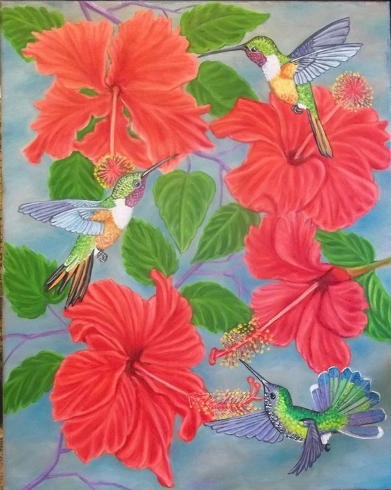 Hummingbirds and Hibiscus flowers